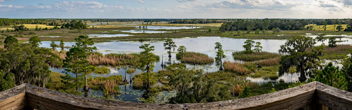 Discovering the Outdoors: Exploring Houston's Parks, Trails, and Nature Reserves